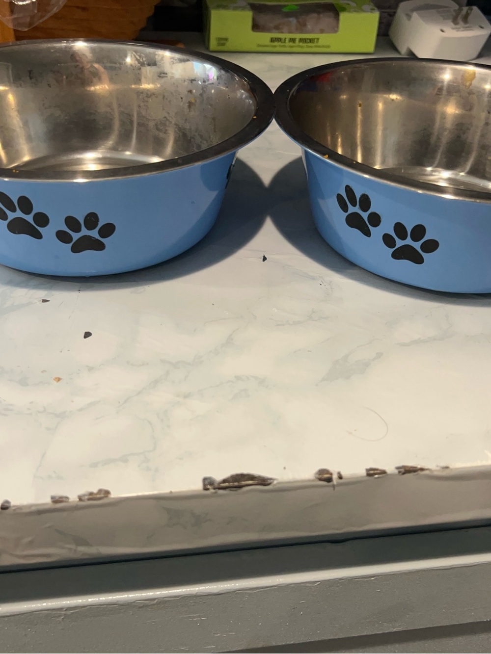 Source Unknown Light Blue Paw-Print Stainless Steel Dog Bowl Pair